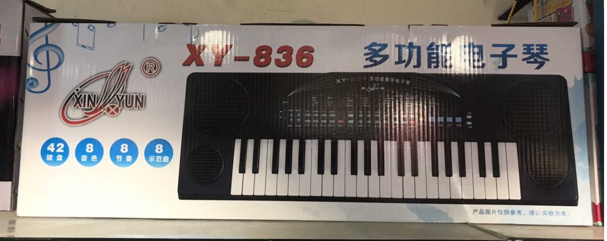 Đàn Organ XY-836 (10/T)