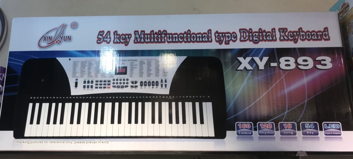 Đàn Organ XY-893 (6/T)