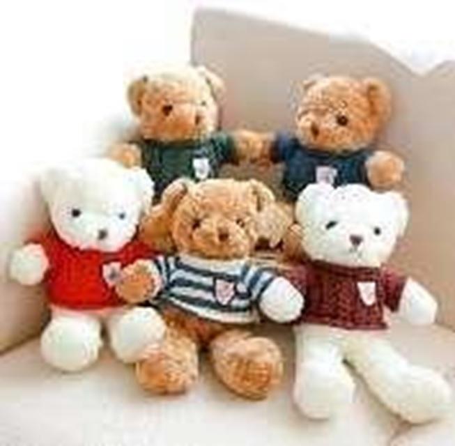 Đồ chơi nhồi bông Gấu Teddy PT-17 (240/T)