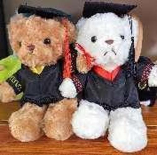 Đồ chơi nhồi bông Gấu Teddy PT-21 (240/T)